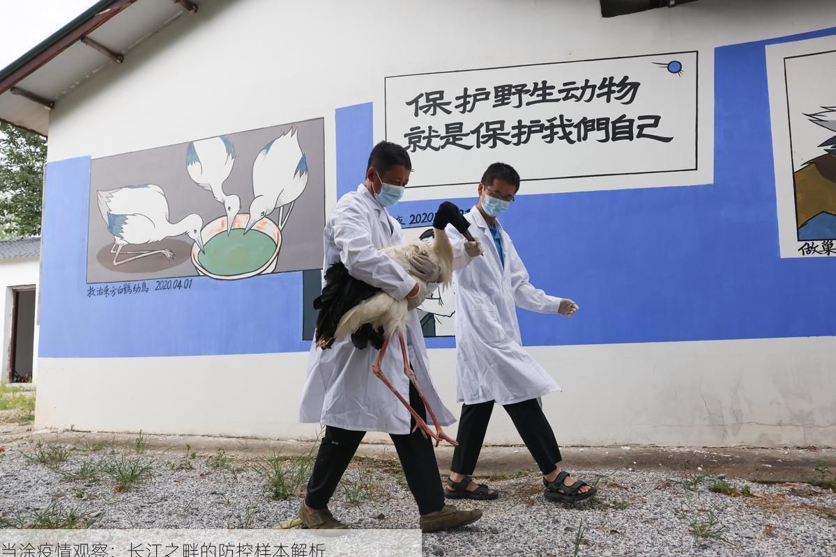 当涂疫情观察:长江之畔的防控样本解析