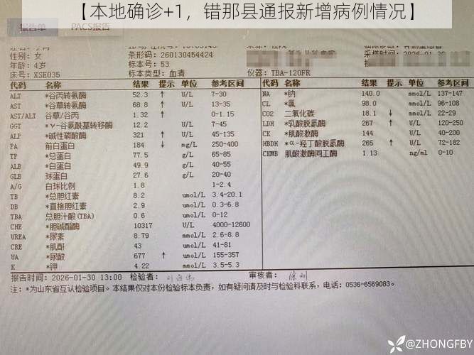 【本地确诊+1,错那县通报新增病例情况】