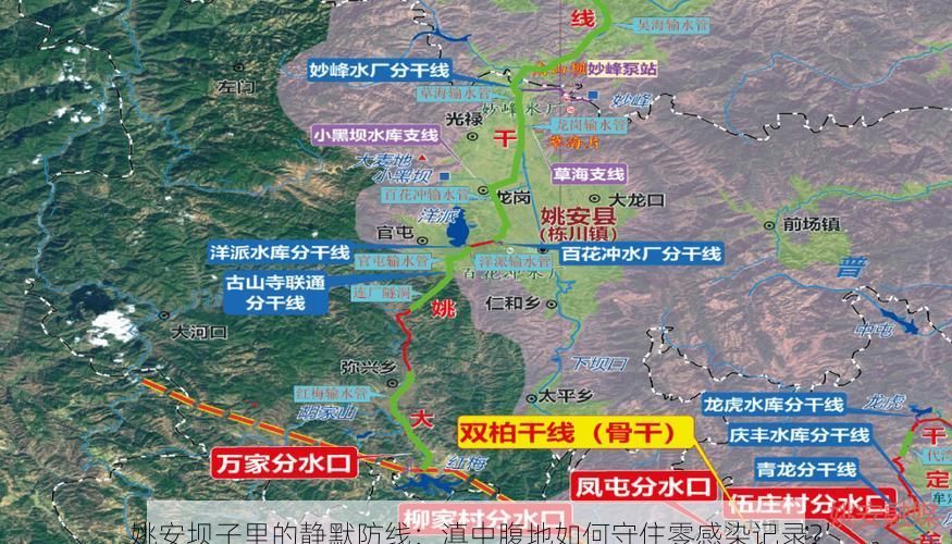 姚安坝子里的静默防线：滇中腹地如何守住零感染记录？