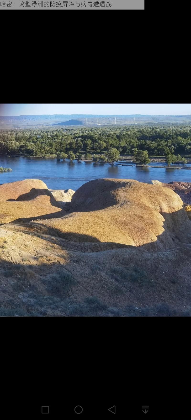 哈密:戈壁绿洲的防疫屏障与病毒遭遇战