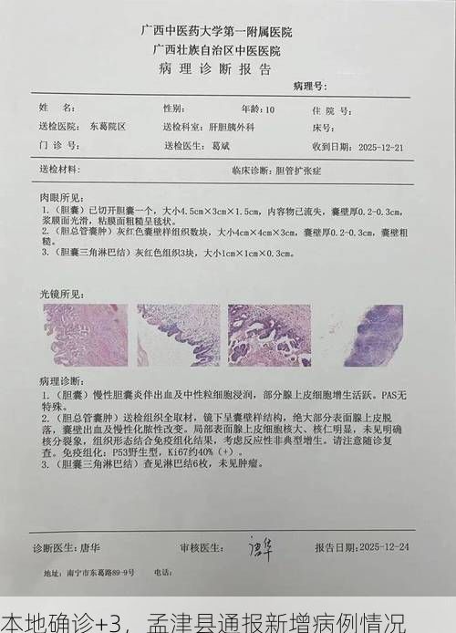 本地确诊+3,孟津县通报新增病例情况