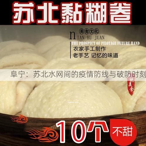 阜宁:苏北水网间的疫情防线与破防时刻