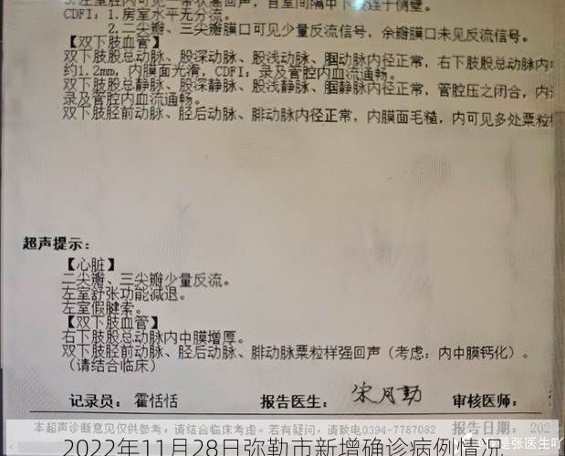 2022年11月28日弥勒市新增确诊病例情况