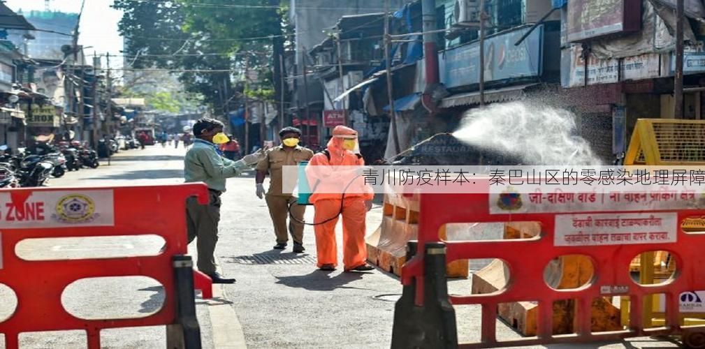 青川防疫样本:秦巴山区的零感染地理屏障