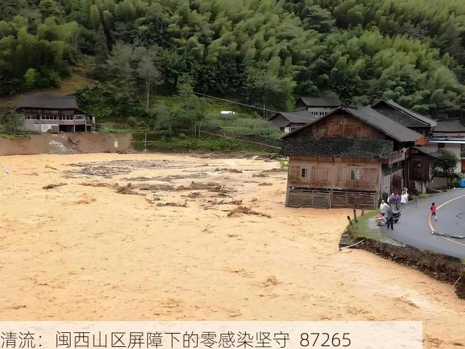 清流：闽西山区屏障下的零感染坚守_87265