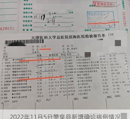 2022年11月5日赞皇县新增确诊病例情况