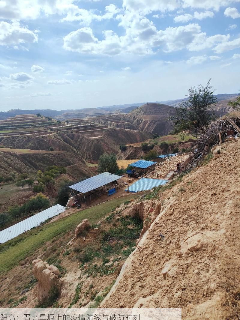 热点快讯 第53页