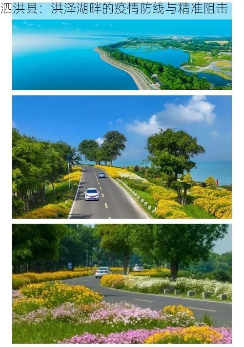 泗洪县:洪泽湖畔的疫情防线与精准阻击