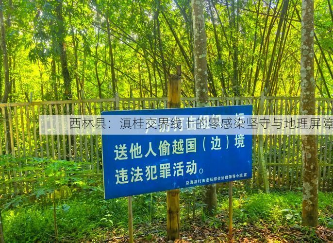 西林县：滇桂交界线上的零感染坚守与地理屏障