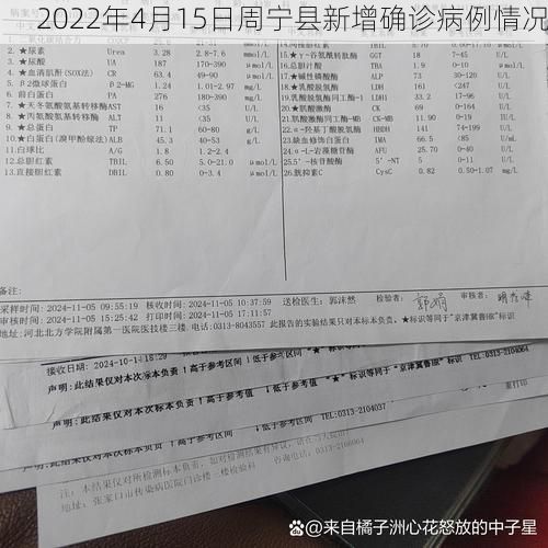 2022年4月15日周宁县新增确诊病例情况