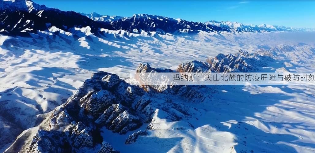 玛纳斯:天山北麓的防疫屏障与破防时刻