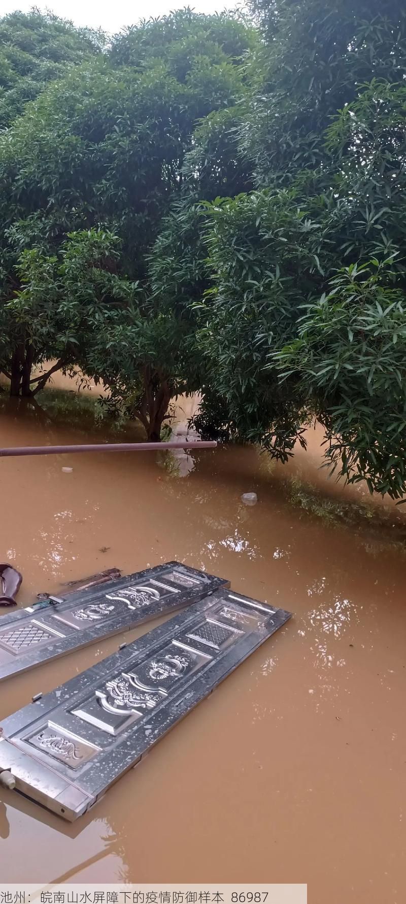 池州:皖南山水屏障下的疫情防御样本_86987