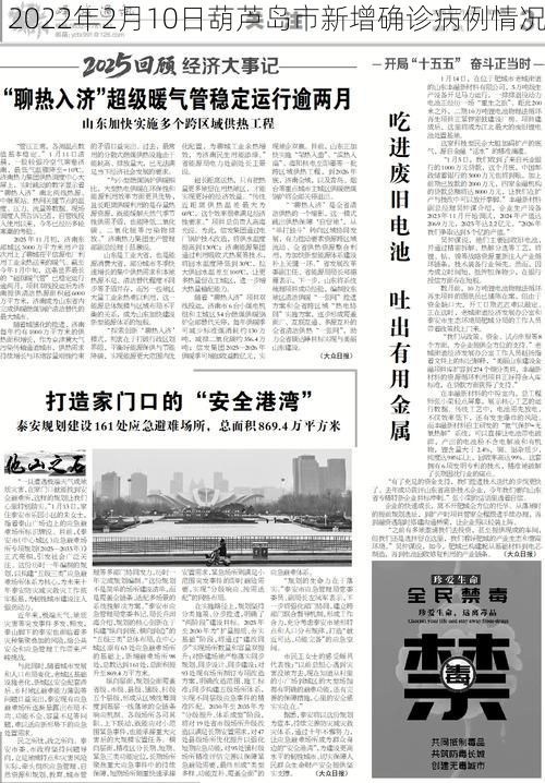 2022年2月10日葫芦岛市新增确诊病例情况