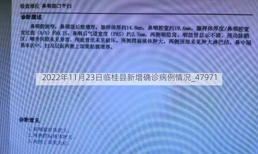 2022年11月23日临桂县新增确诊病例情况_47971