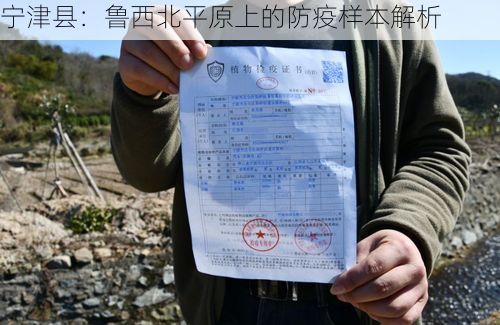 宁津县：鲁西北平原上的防疫样本解析