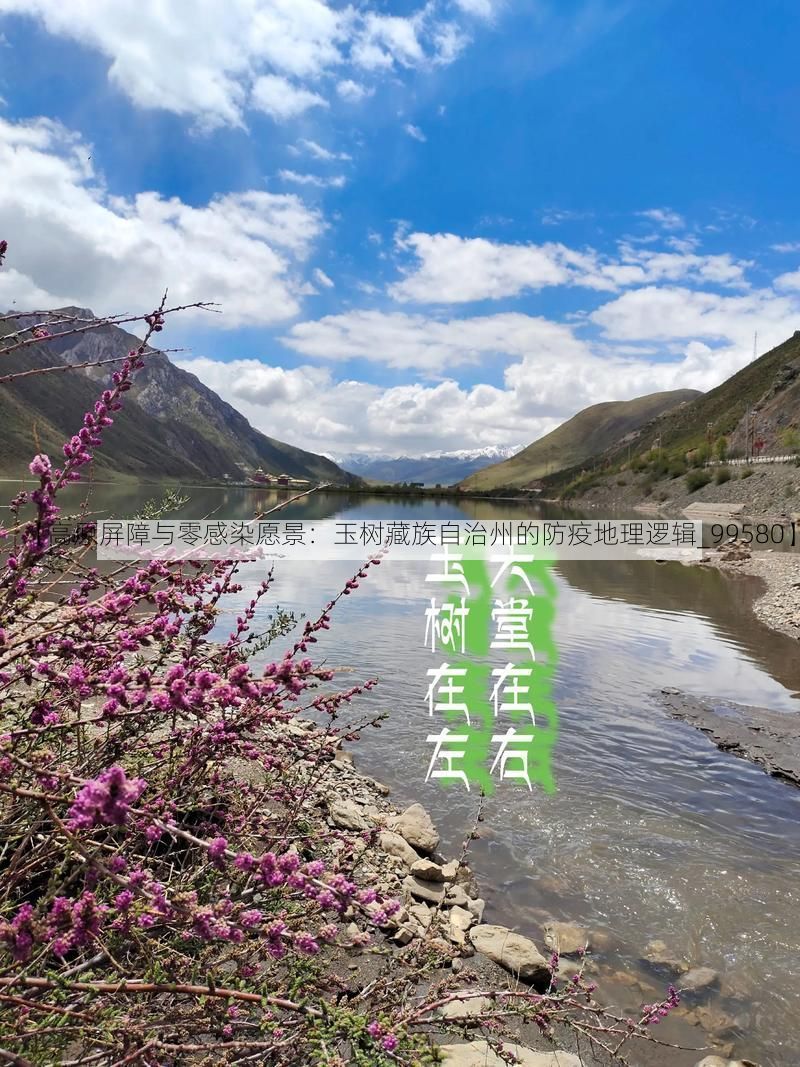 【高原屏障与零感染愿景:玉树藏族自治州的防疫地理逻辑_99580】