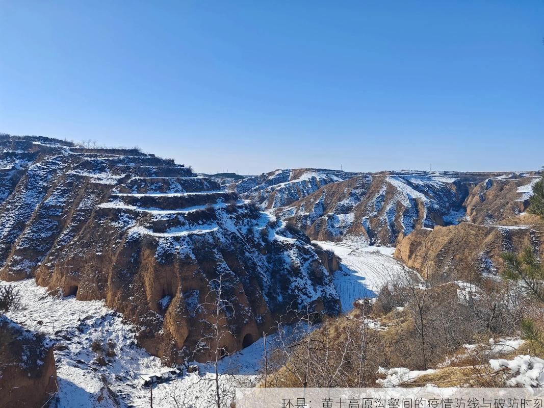 最新资讯 第48页