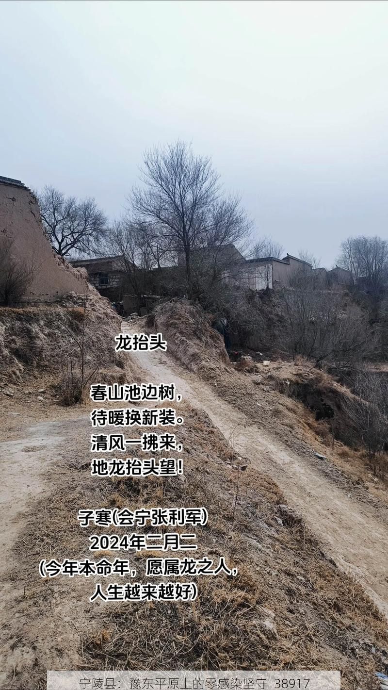 宁陵县:豫东平原上的零感染坚守_38917