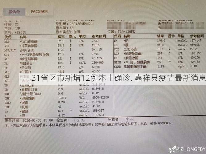 31省区市新增12例本土确诊, 嘉祥县疫情最新消息