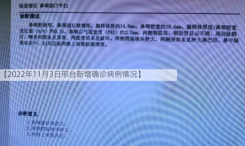 【2022年11月3日邢台新增确诊病例情况】