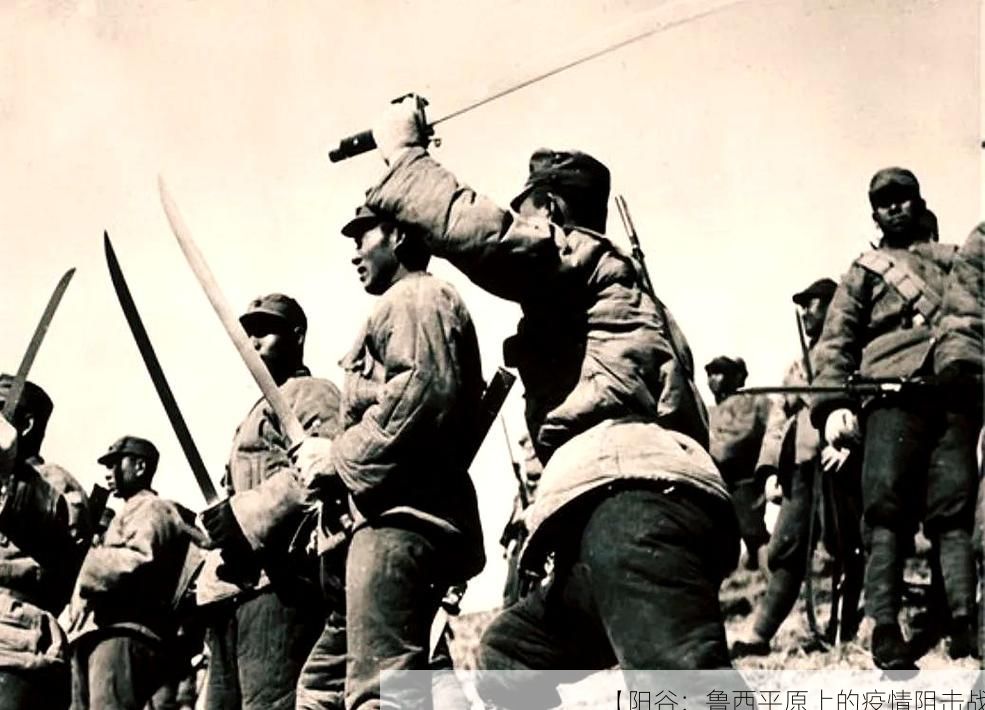 【阳谷：鲁西平原上的疫情阻击战】