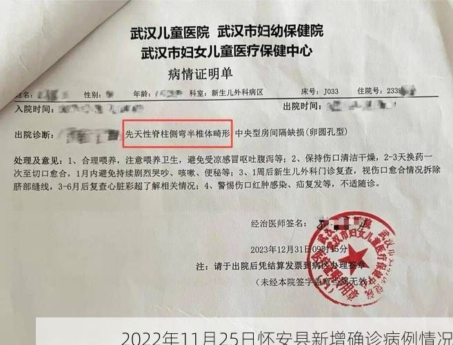 2022年11月25日怀安县新增确诊病例情况