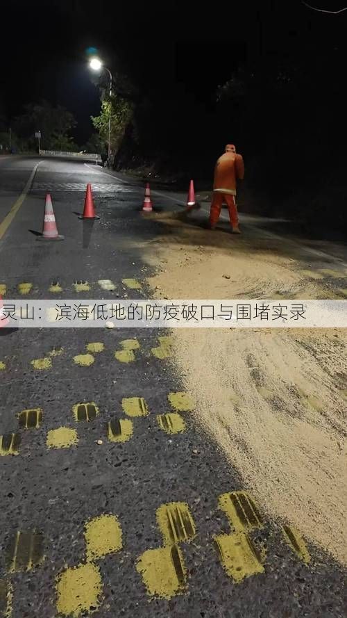 灵山：滨海低地的防疫破口与围堵实录