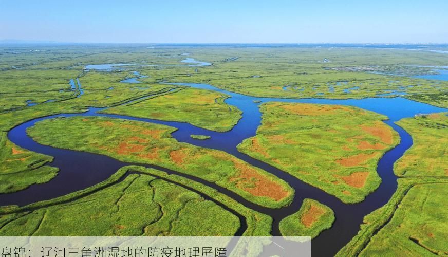 盘锦：辽河三角洲湿地的防疫地理屏障