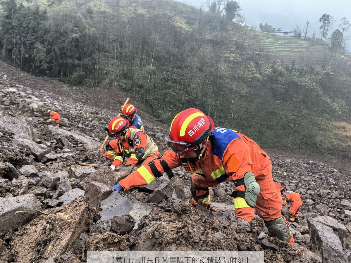 【营山：川东丘陵屏障下的疫情破防时刻】