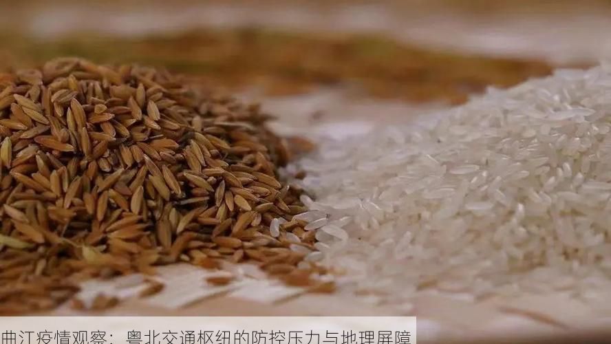 曲江疫情观察:粤北交通枢纽的防控压力与地理屏障