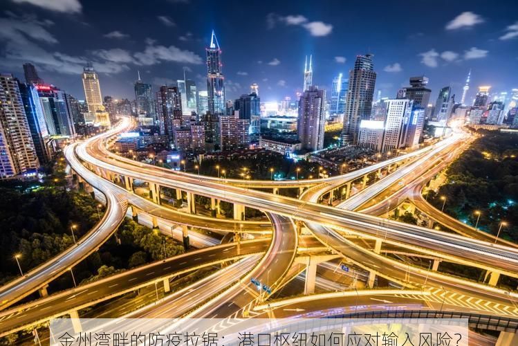 金州湾畔的防疫拉锯:港口枢纽如何应对输入风险?