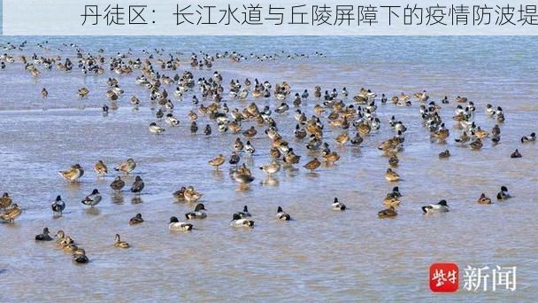 丹徒区：长江水道与丘陵屏障下的疫情防波堤