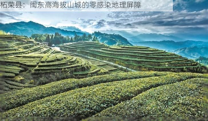 柘荣县:闽东高海拔山城的零感染地理屏障