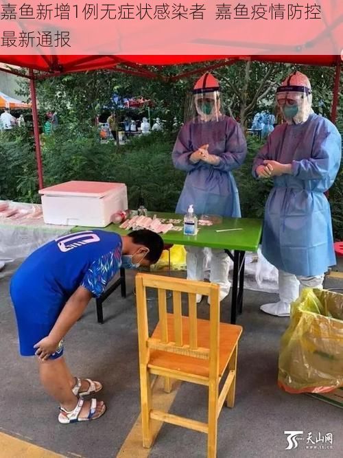 嘉鱼新增1例无症状感染者  嘉鱼疫情防控最新通报