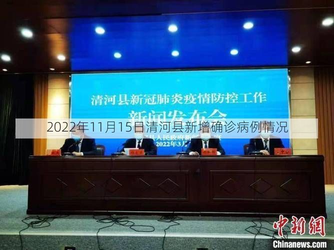 2022年11月15日清河县新增确诊病例情况