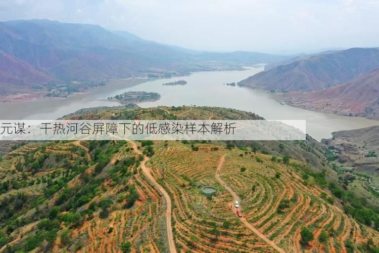 最新资讯 第34页