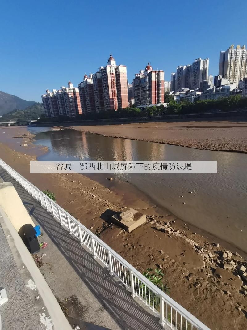 谷城：鄂西北山城屏障下的疫情防波堤