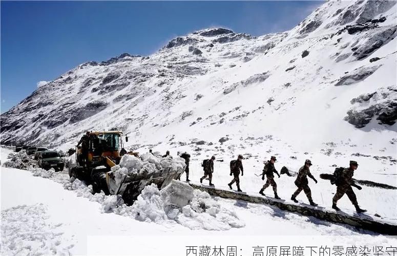 热点快讯 第30页