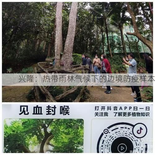兴隆：热带雨林气候下的边境防疫样本