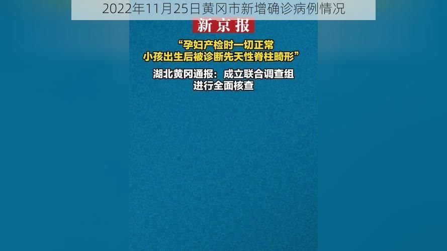 2022年11月25日黄冈市新增确诊病例情况