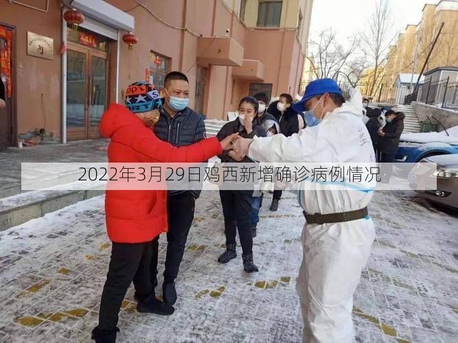 2022年3月29日鸡西新增确诊病例情况