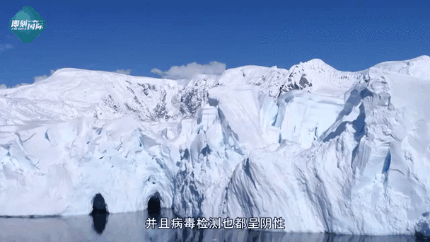 青川:川北山区的零感染坚守与地理屏障解析