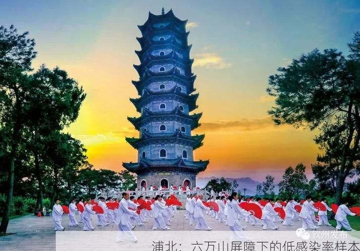 浦北：六万山屏障下的低感染率样本