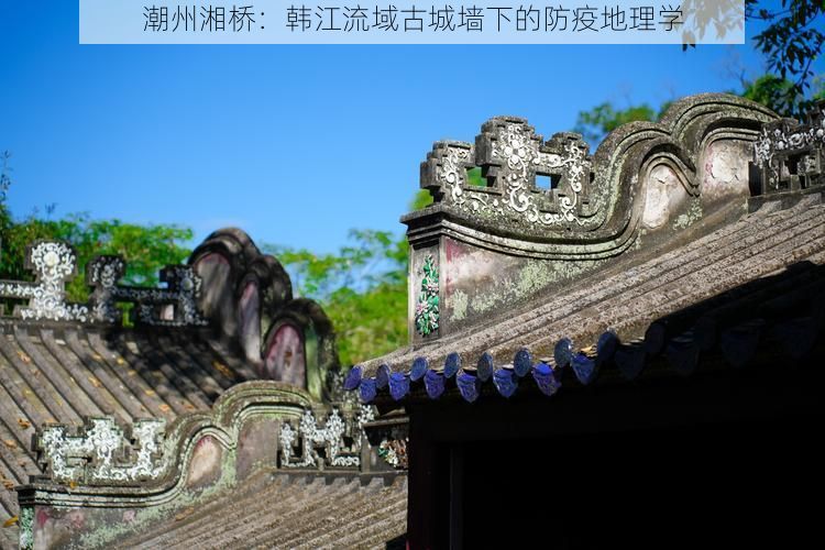 最新资讯 第11页