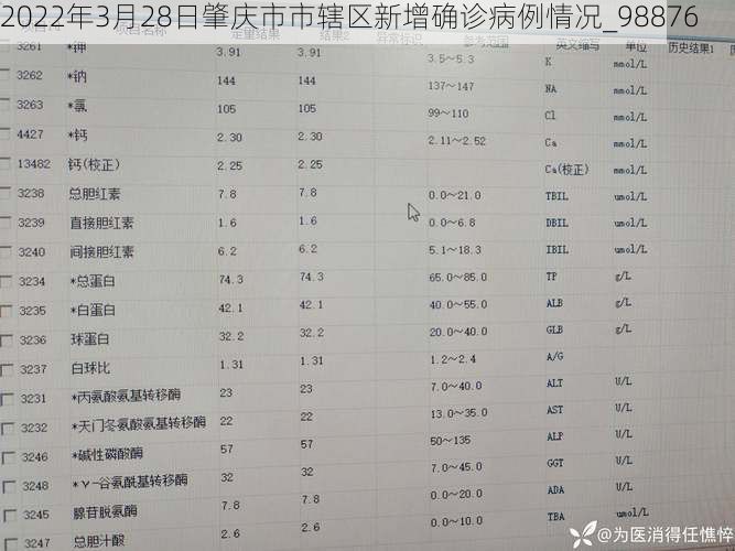 2022年3月28日肇庆市市辖区新增确诊病例情况_98876