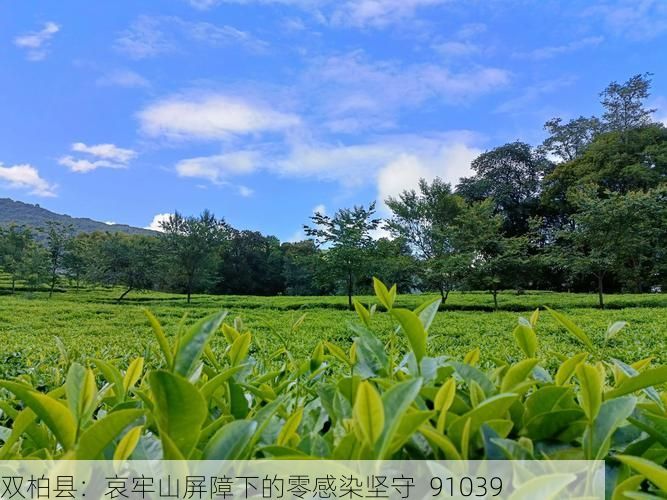 科普百科 第8页