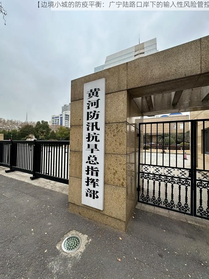 【边境小城的防疫平衡：广宁陆路口岸下的输入性风险管控】