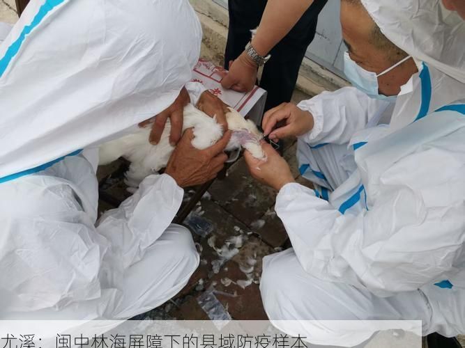 尤溪：闽中林海屏障下的县域防疫样本