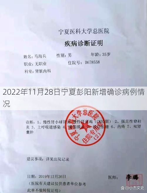 2022年11月28日宁夏彭阳新增确诊病例情况