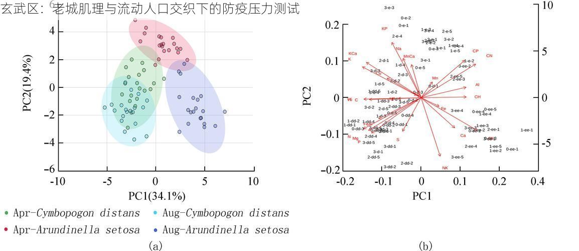 玄武区:老城肌理与流动人口交织下的防疫压力测试